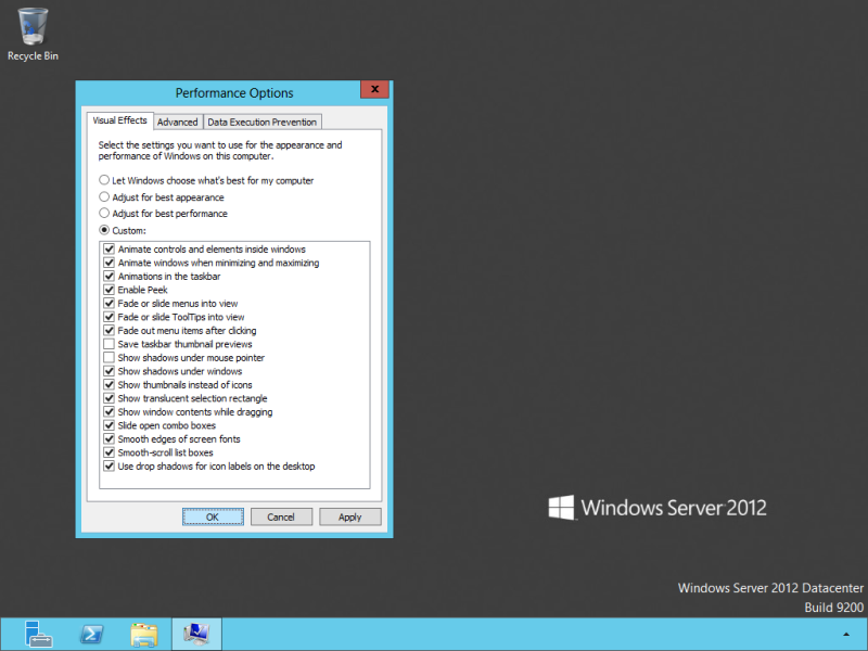 Default Visual Effects configuration of Windows 8